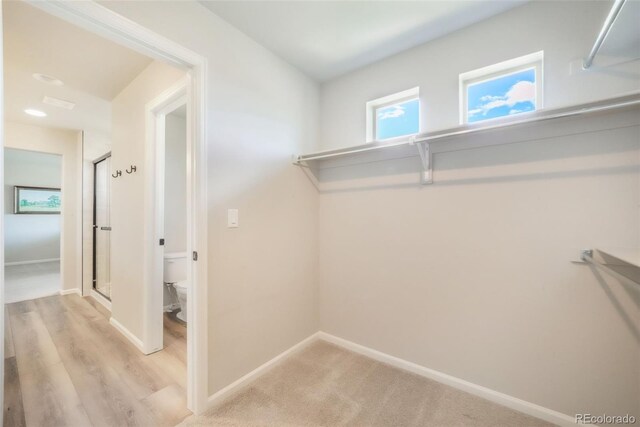9521 Sideoats Ct, Colorado Springs, CO 80927 - walk in closet with light wood finished floors