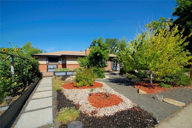 423 Lima St, Aurora, CO 80010 - photo 2