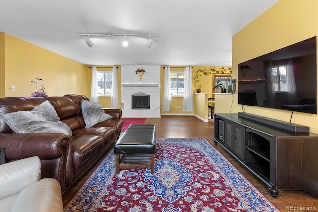 living room featuring a fireplace and dark hardwood / wood-style flooring