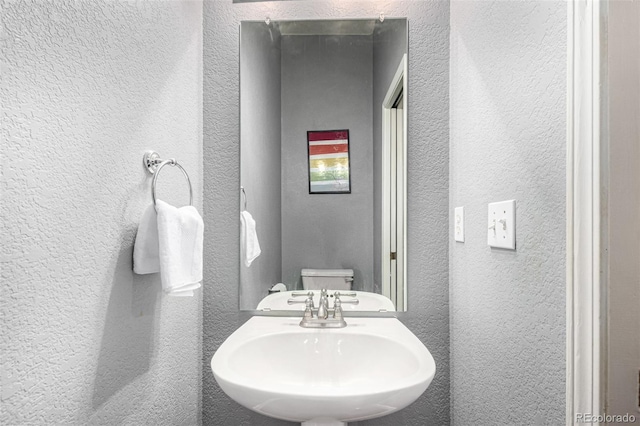 4500 Seneca St Unit 36, Fort Collins, CO 80526 - photo 8