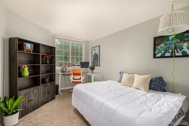4500 Seneca St Unit 36, Fort Collins, CO 80526 - photo 12