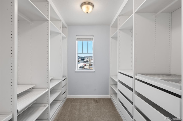 spacious closet featuring light carpet