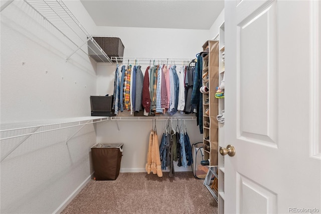 spacious closet with carpet floors