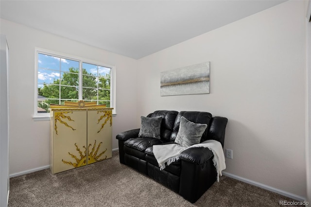 10445 Cheetah Winds, Lone Tree, CO 80124 - photo 28