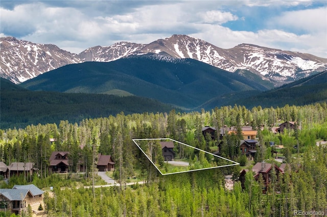 243 Leland Creek Cir, Winter Park, CO 80482 - photo 41