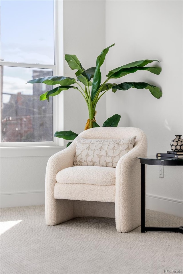 details with carpet and baseboards