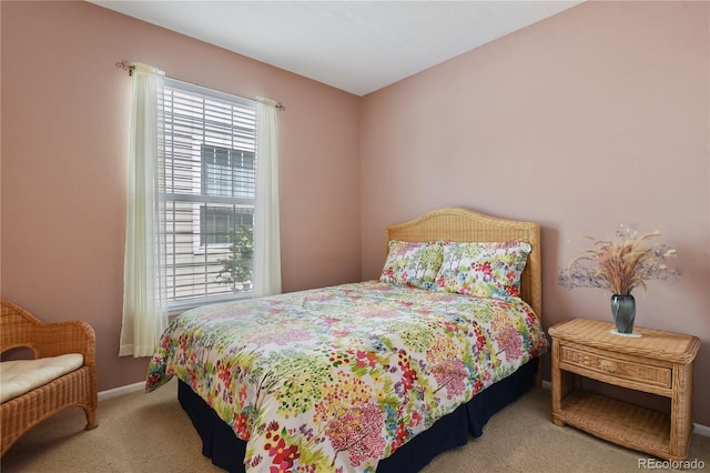 23285 Chapel Hill Ln, Parker, CO 80138 - carpeted bedroom with baseboards