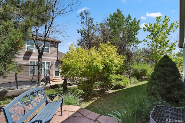 23285 Chapel Hill Ln, Parker, CO 80138 - view of yard