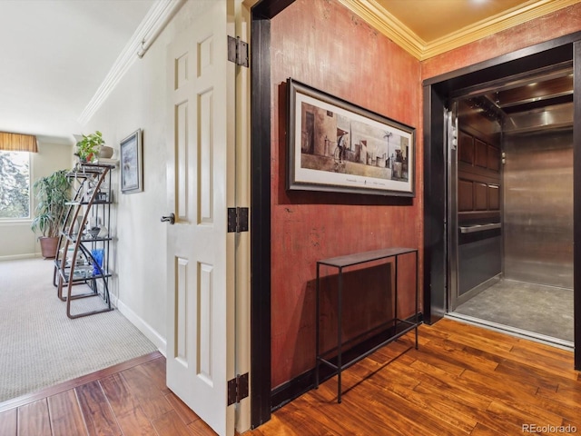 hall featuring baseboards, wood-type flooring, and crown molding