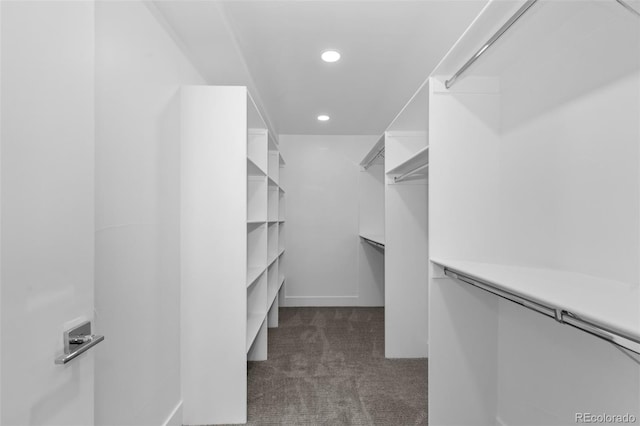 walk in closet featuring dark carpet