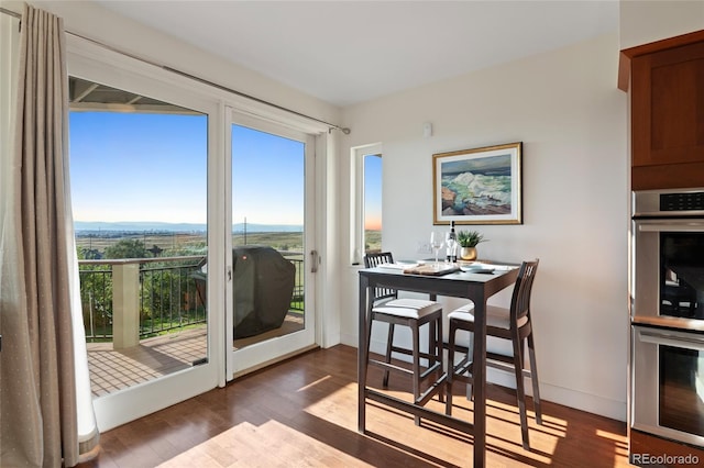 dining space featuring plenty of natural light and dark hardwood / wood-style flooring