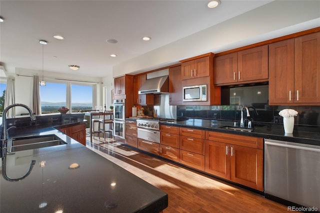 kitchen featuring wall chimney exhaust hood, light hardwood / wood-style floors, sink, and appliances with stainless steel finishes