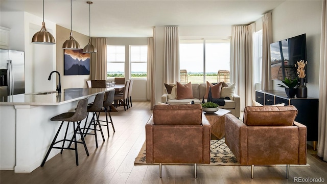 living room with sink and dark hardwood / wood-style floors