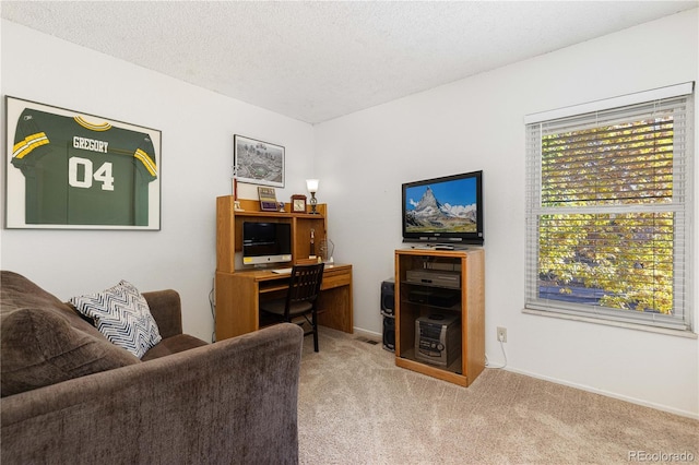 carpeted living room with a textured ceiling