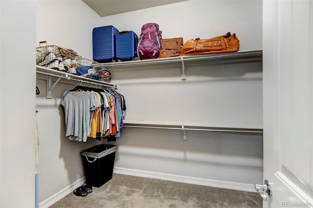 walk in closet featuring carpet