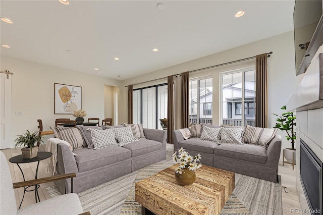 living room featuring light hardwood / wood-style floors