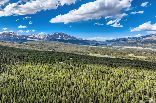 Guymard Rd, Fairplay, CO 80440