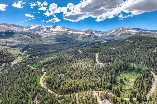 Guymard Rd, Fairplay, CO 80440