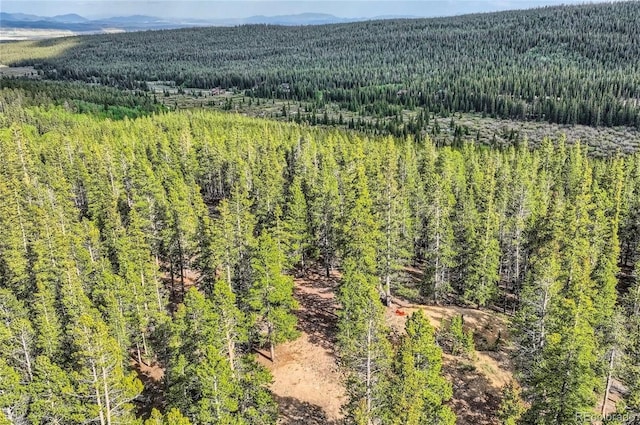 Guymard Rd, Fairplay, CO 80440