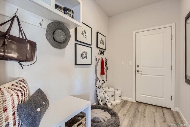 14147 Bunny Hop Ln, Parker, CO 80134 - mudroom featuring light wood finished floors and baseboards