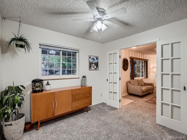 7112 S Platte Canyon Dr, Littleton, CO 80128 - carpeted office space with french doors, a ceiling fan, and a textured ceiling