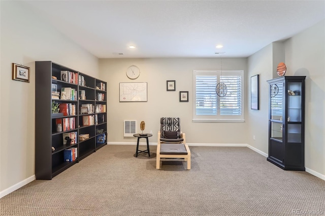 sitting room with carpet floors