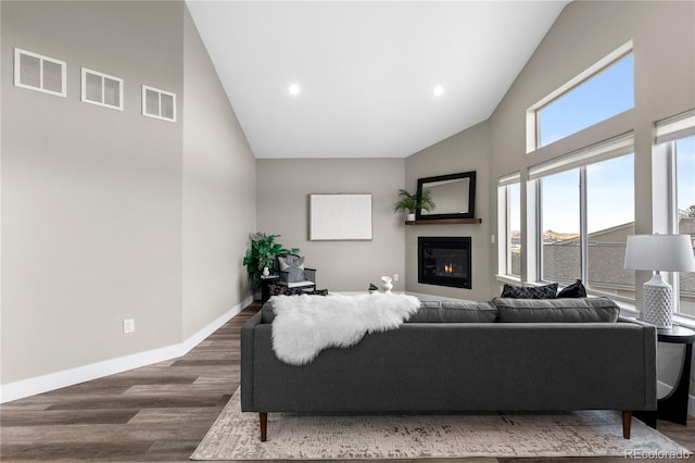 living room with high vaulted ceiling and dark hardwood / wood-style floors