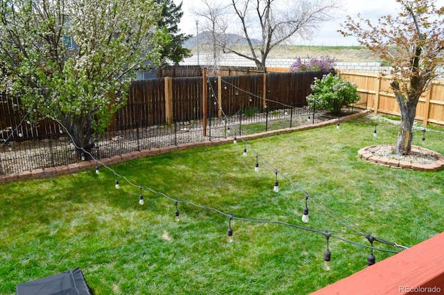 4303 S Yank St, Morrison, CO 80465 - view of yard