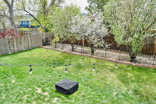 4303 S Yank St, Morrison, CO 80465 - view of yard