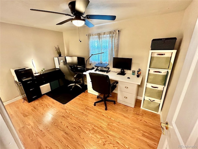 4303 S Yank St, Morrison, CO 80465 - home office with light wood-style flooring, ceiling fan, and baseboards