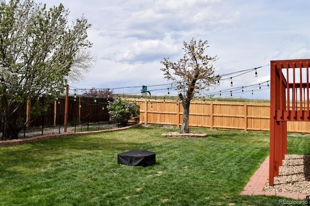 4303 S Yank St, Morrison, CO 80465 - view of yard