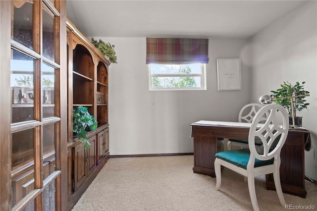 6492 S Piney Creek Cir, Centennial, CO 80016 - office space featuring baseboards and light colored carpet