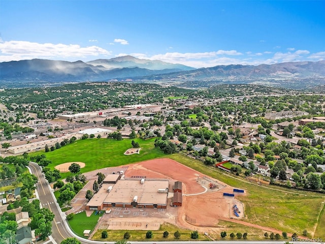 3170 Toro Dr, Colorado Springs, CO 80918 - photo 34