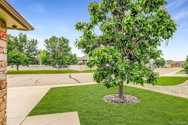 5193 Rustic Ave, Firestone, CO 80504 - view of yard