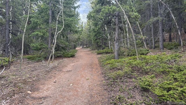 005 Roy Smith Rd, Central City, CO 80427 - photo 1