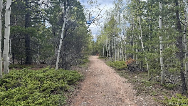 005 Roy Smith Rd, Central City, CO 80427 - photo 2