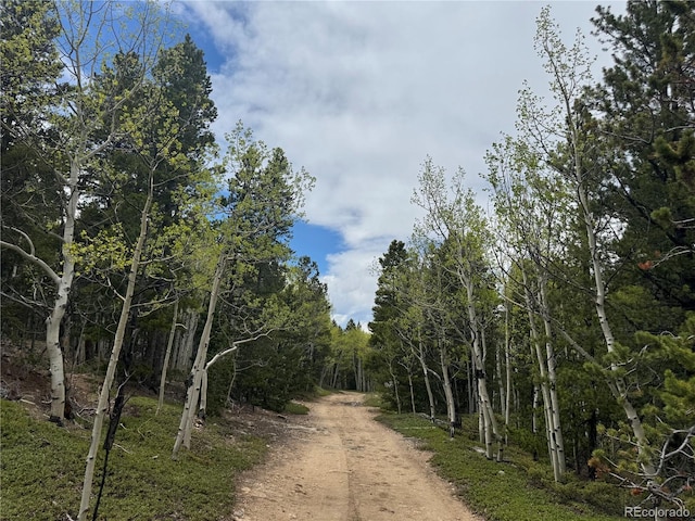 005 Roy Smith Rd, Central City, CO 80427 - photo 4