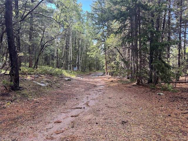 005 Roy Smith Rd, Central City, CO 80427 - photo 5