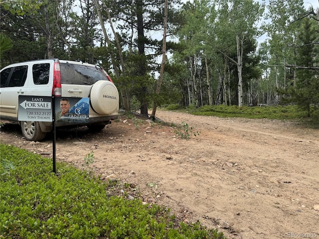 005 Roy Smith Rd, Central City, CO 80427 - photo 6