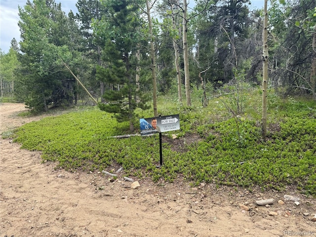 005 Roy Smith Rd, Central City, CO 80427 - photo 7