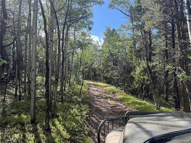 005 Roy Smith Rd, Central City, CO 80427 - photo 8