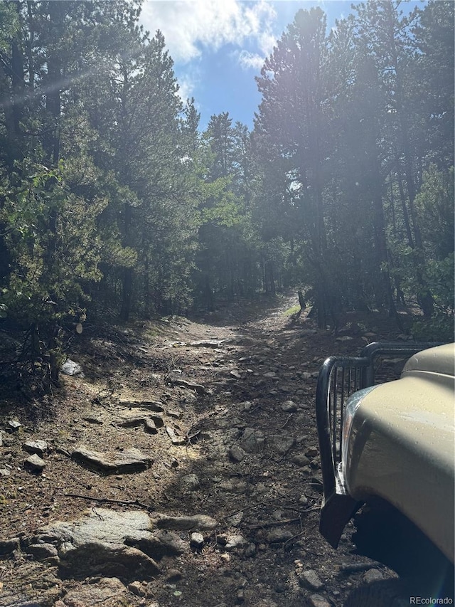 005 Roy Smith Rd, Central City, CO 80427 - photo 9