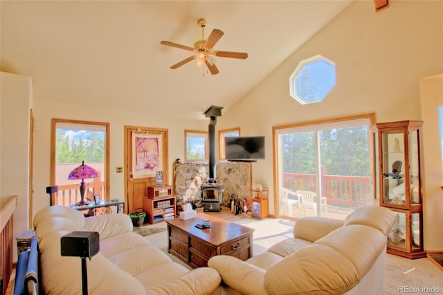 369 Prunes Pl, Fairplay, CO 80440 - photo 3