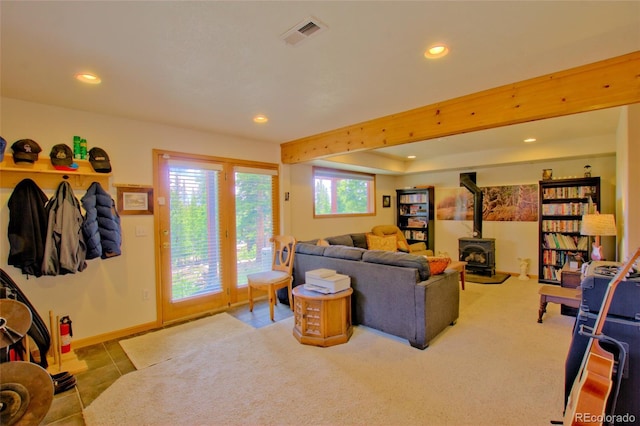 369 Prunes Pl, Fairplay, CO 80440 - photo 6