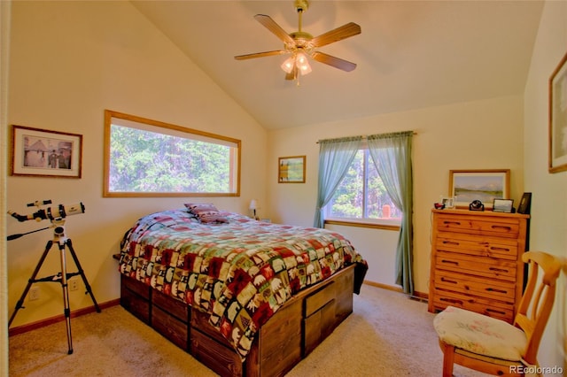 369 Prunes Pl, Fairplay, CO 80440 - photo 7