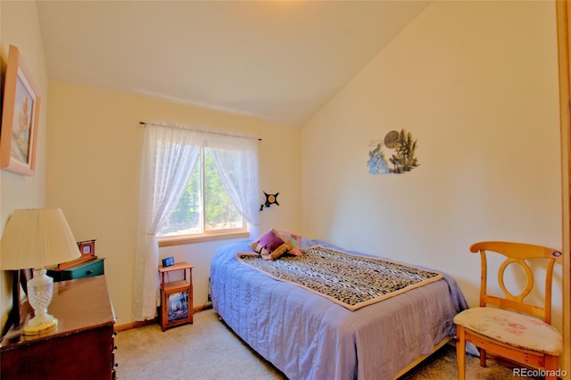 369 Prunes Pl, Fairplay, CO 80440 - photo 9