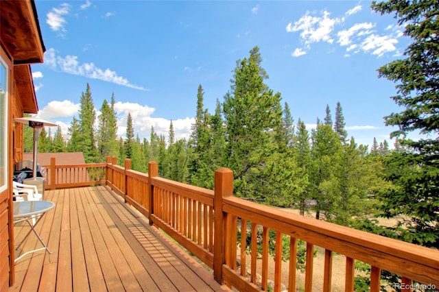 369 Prunes Pl, Fairplay, CO 80440 - photo 11