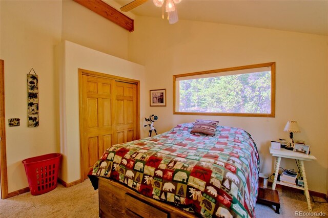 369 Prunes Pl, Fairplay, CO 80440 - photo 22