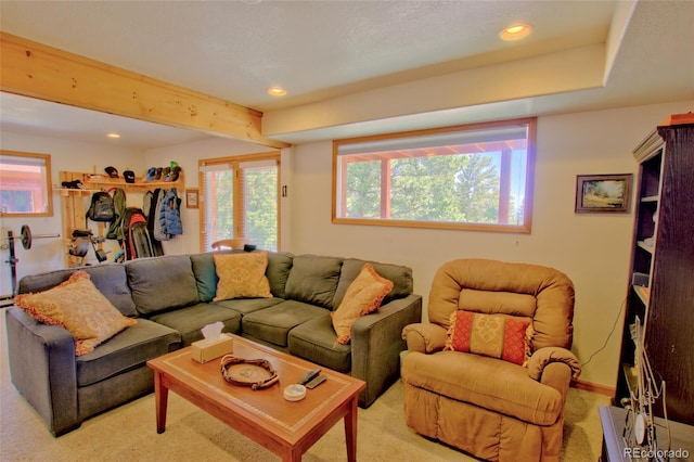 369 Prunes Pl, Fairplay, CO 80440 - photo 23