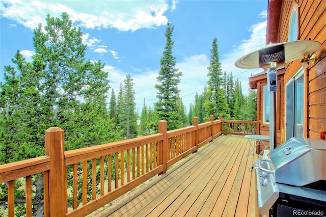 369 Prunes Pl, Fairplay, CO 80440 - photo 25